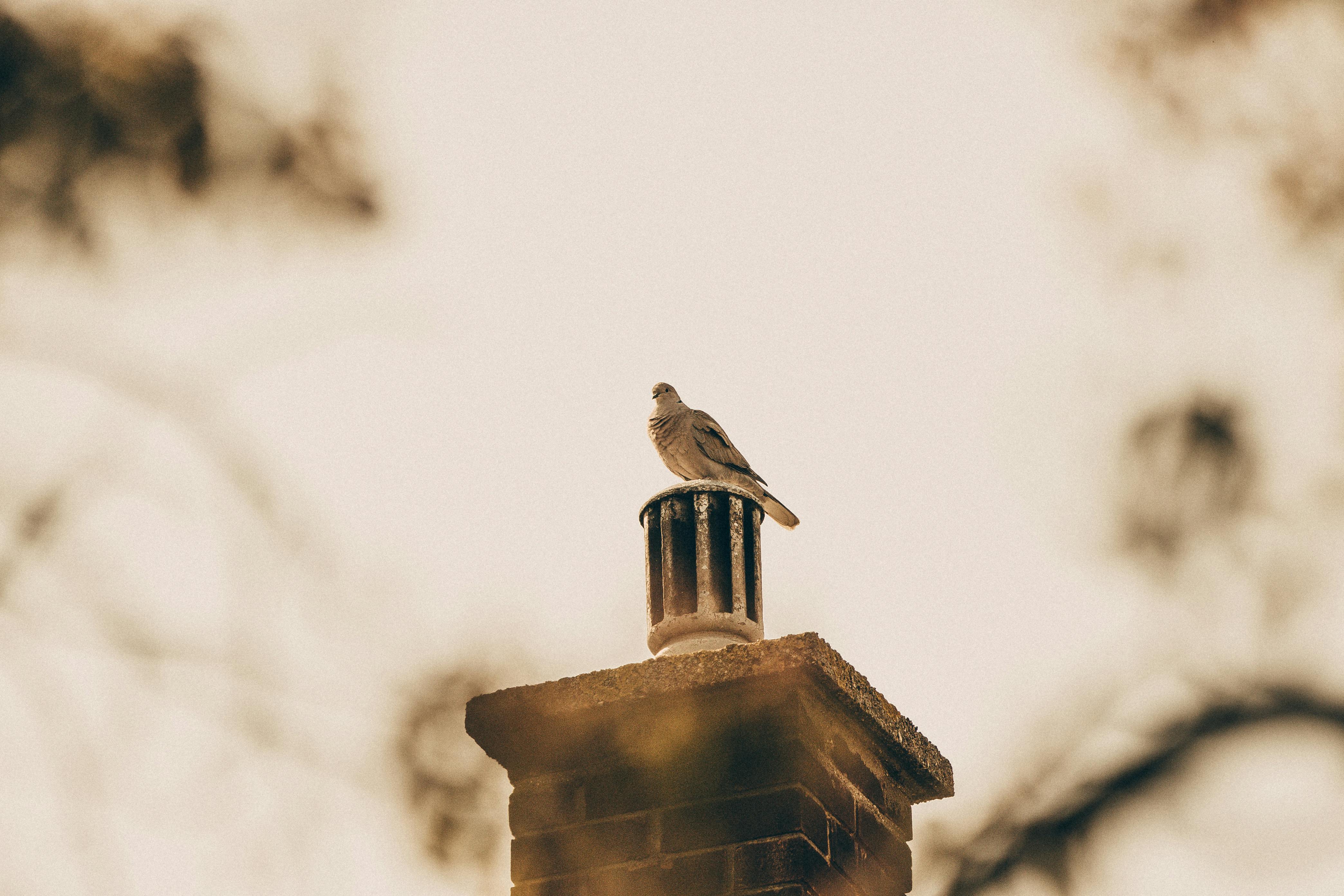 Professional Chimney Cap Installation Services in Miramar Beach, FL Expert Chimney Cap Installation in Miramar Beach, Florida
